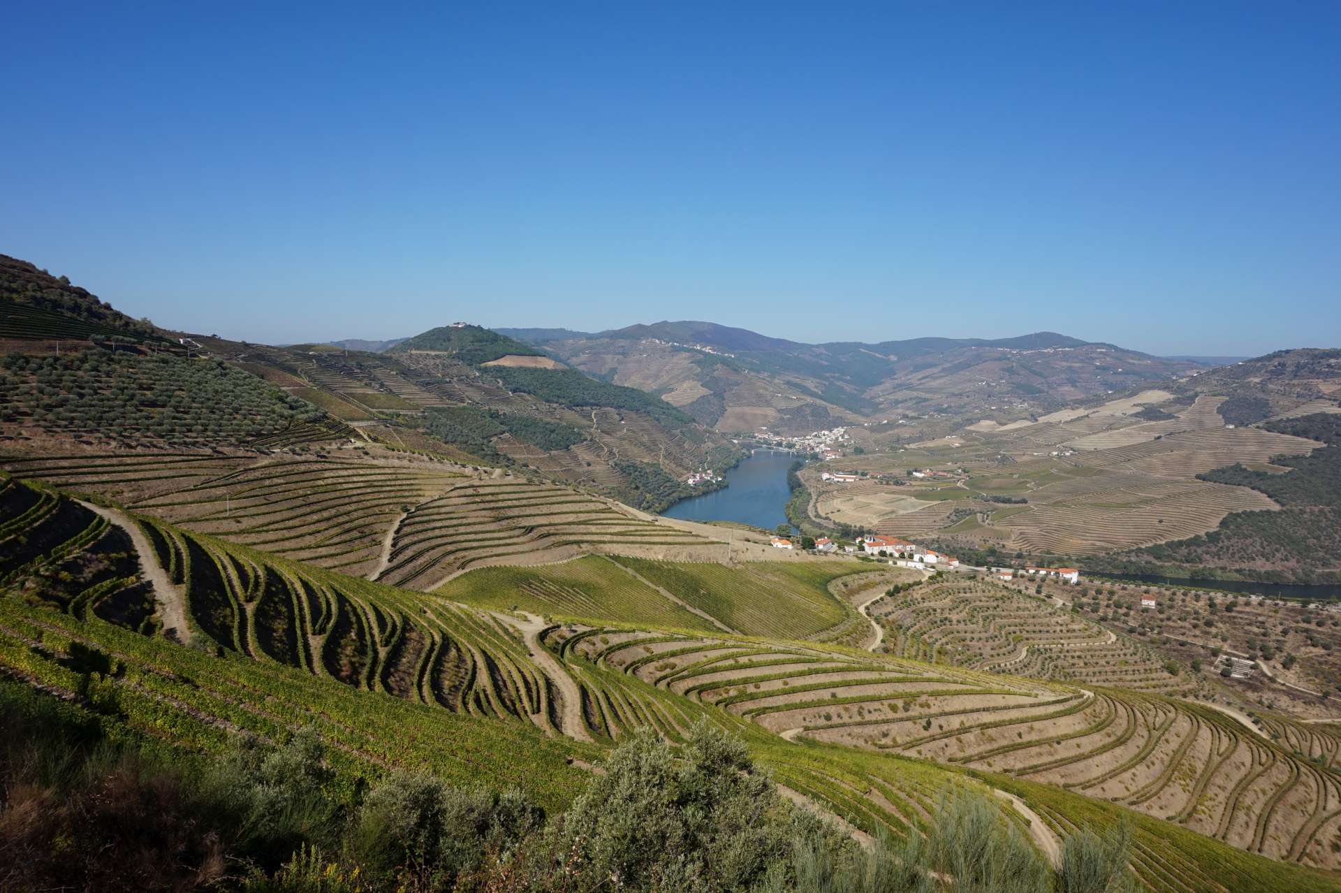 Údolí řeky Douro lemují vysoké kopce s vinicemi