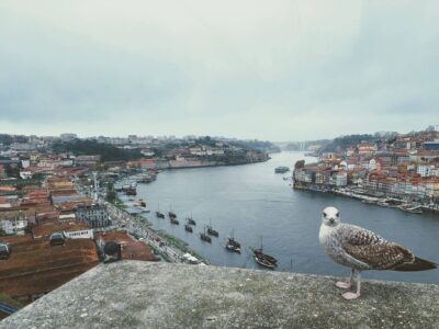 Velký fotoreport: Předvánoční Porto a Douro v roce 2023 – deštivé i slunečné, ale stále nádherné!