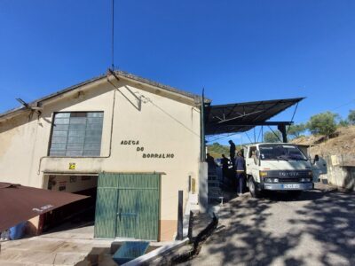 Newsletter 8/2025: Vinobraní v Douru začalo, bílé portské a Praia de Matosinhos