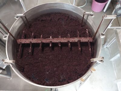 Newsletter 9/2025: Sklizeň v Douru pokračuje, tradiční Taylor’s a ulice umění v Portu