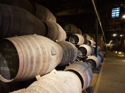 Newsletter 1/2026: Zima s Douro Boys, Livraria Lello slaví 120 let a Graham’s 1890 Lodge